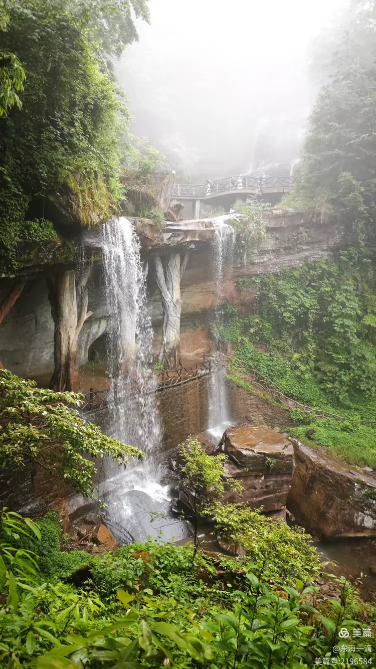 昭通水富铜锣坝国家森林公园